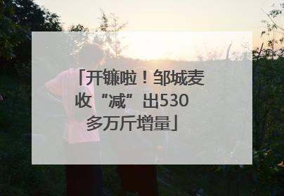 开镰啦！邹城麦收“减”出530多万斤增量